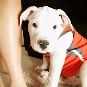 Meet your Posher, Alex